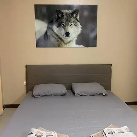 The White Wolf Sofia